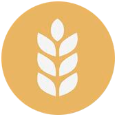 Gluten